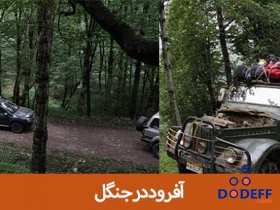 آفرود در جنگل