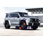 tank300-bodykit-mars-dodeff.com-5